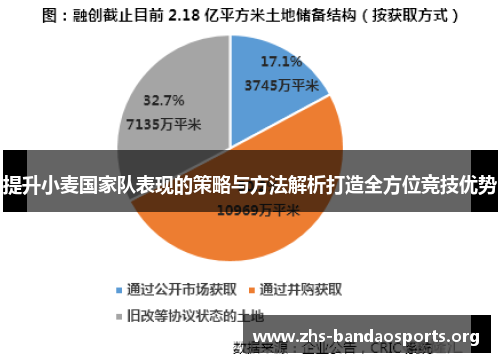 提升小麦国家队表现的策略与方法解析打造全方位竞技优势 提升小麦国家队表现的策略与方法解析打造全方位竞技优势