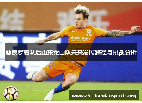 桑德罗离队后山东泰山队未来发展路径与挑战分析 桑德罗离队后山东泰山队未来发展路径与挑战分析