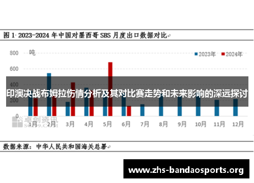 印澳决战布姆拉伤情分析及其对比赛走势和未来影响的深远探讨 印澳决战布姆拉伤情分析及其对比赛走势和未来影响的深远探讨