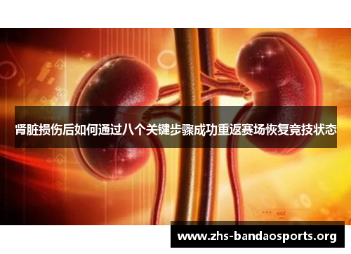 肾脏损伤后如何通过八个关键步骤成功重返赛场恢复竞技状态 肾脏损伤后如何通过八个关键步骤成功重返赛场恢复竞技状态
