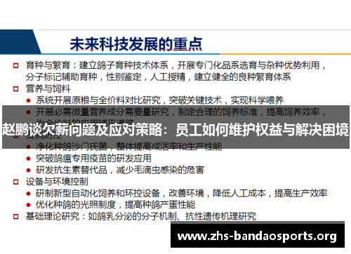 赵鹏谈欠薪问题及应对策略:员工如何维护权益与解决困境 赵鹏谈欠薪问题及应对策略:员工如何维护权益与解决困境