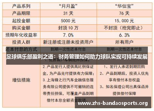 足球俱乐部盈利之道:财务管理如何助力球队实现可持续发展 足球俱乐部盈利之道:财务管理如何助力球队实现可持续发展