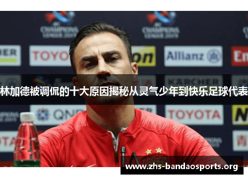 林加德被调侃的十大原因揭秘从灵气少年到快乐足球代表 林加德被调侃的十大原因揭秘从灵气少年到快乐足球代表